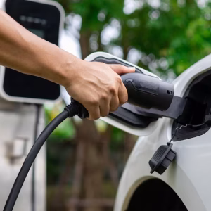 Electric Vehicle Accessories: A Lucrative Business Opportunity